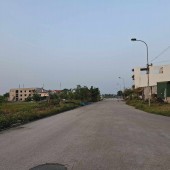 BÁN ĐẤT ĐỒNG BÔNG ĐỒNG SÁC QUẢNG ĐẠI THÀNH PHỐ SẦM SƠN